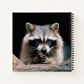 Raccoon 004 notitieboek (Achterkant)