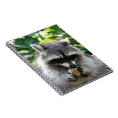 Raccoon 004 notitieboek (Rechterzijde)