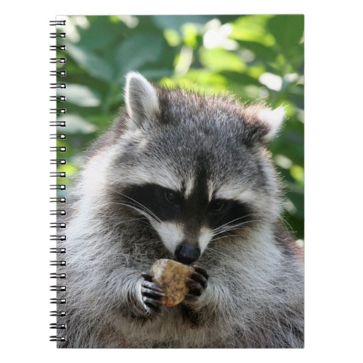 Raccoon 004 notitieboek (Voorkant)