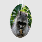 Raccoon 004 ornament (voorkant)