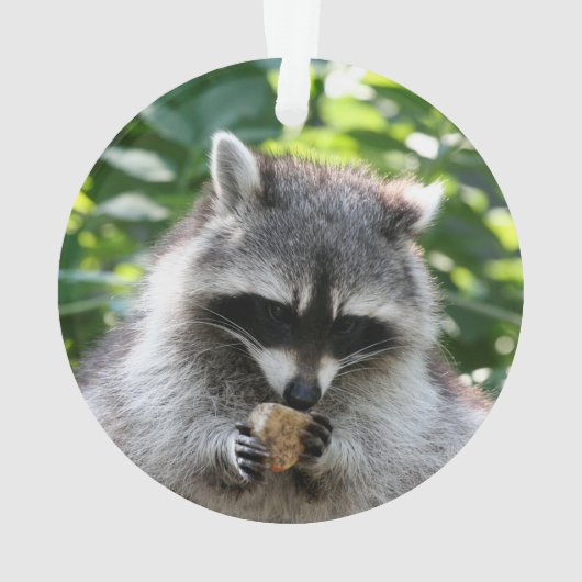 Raccoon 004 ornament (achterkant)