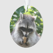 Raccoon 004 ornament (voorkant)