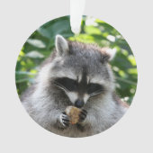 Raccoon 004 ornament (voorkant)