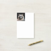 Raccoon 004 post-it® notes (Op bureau)