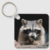 Raccoon 004 sleutelhanger (Voorkant)