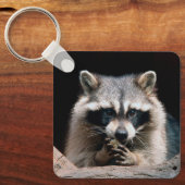 Raccoon 004 sleutelhanger (Voorkant)