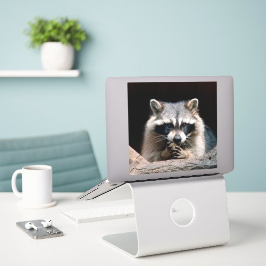 Raccoon 004 sticker (Laptop op bureau)