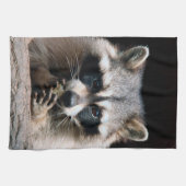 Raccoon 004 theedoek (Horizontaal)