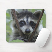 Raccoon - #1005 muismat (Met muis)