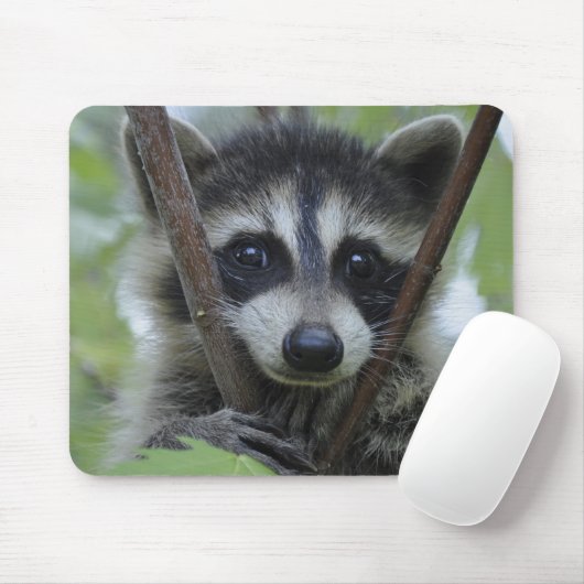 Raccoon - #1005 muismat (Met muis)