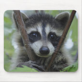 Raccoon - #1005 muismat (Voorkant)
