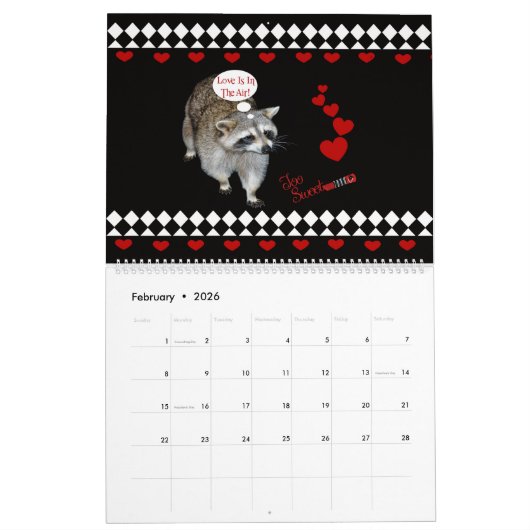 Raccoon 12 maanden kalender (Feb 2026)