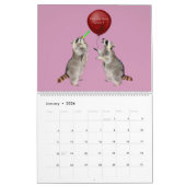 Raccoon 12 maanden kalender (Jan 2026)