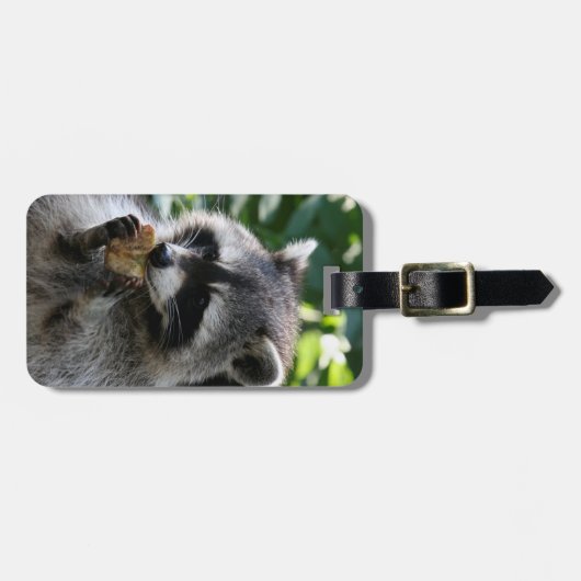 Raccoon_2015_0116 Bagagelabel (Voorkant horizontaal)