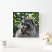 Raccoon_2015_0116 Vierkante Klok (Huis)