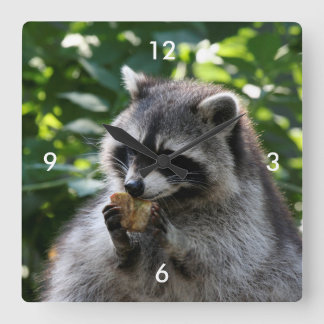 Raccoon_2015_0116 Vierkante Klok