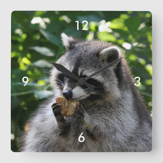 Raccoon_2015_0116 Vierkante Klok (Voorkant)