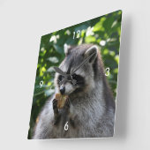 Raccoon_2015_0116 Vierkante Klok (Hoek)