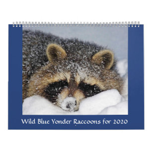 Raccoon 2020 van Wild Blue Yonder. Kalender