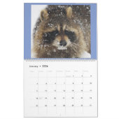 Raccoon 2020 van Wild Blue Yonder. Kalender (Jan 2026)