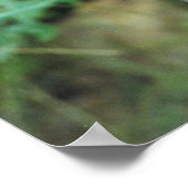 Raccoon #2 poster (Hoek)