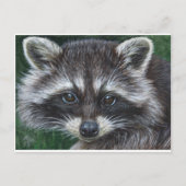 Raccoon 3 briefkaart (Voorkant)
