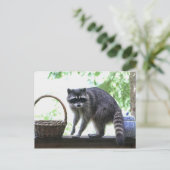 Raccoon Afbeelding Briefkaart (Staand voorkant)