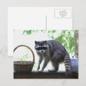 Raccoon Afbeelding Briefkaart (Voorkant / Achterkant)