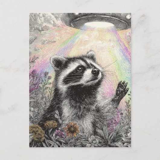 Raccoon and a UFO Briefkaart (Voorkant)