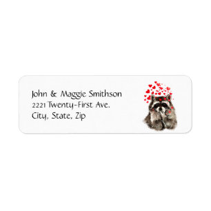 Raccoon Animal Hugs en Kisses van Funny Raccoon Etiket