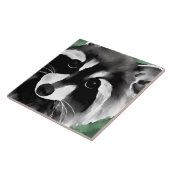 Raccoon Art Tegeltje (Zijkant)