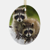 Raccoon Babies Keramisch Ornament (Rechts)