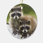 Raccoon Babies Keramisch Ornament (Links)