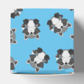 Raccoon Baby shower Blue Bedankdoosjes (Bovenkant)