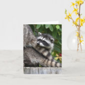 Raccoon baby's! kaart (Gele Bloem)