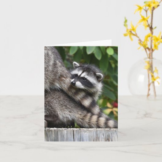 Raccoon baby's! kaart (Gele Bloem)