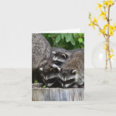 Raccoon baby's! kaart (Gele Bloem)