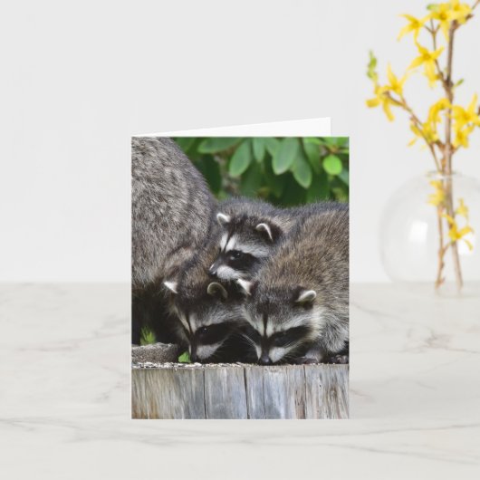 Raccoon baby's! kaart (Gele Bloem)