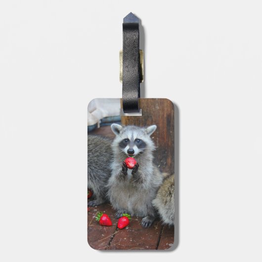 Raccoon bagagelabel (Achterkant verticaal)