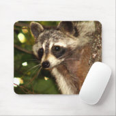 Raccoon "Bandit" Mousepad Muismat (Met muis)