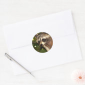 Raccoon "Bandit" Sticker (Envelop)