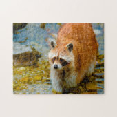 Raccoon Beren. Legpuzzel (Horizontaal)