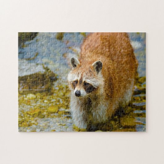 Raccoon Beren. Legpuzzel (Horizontaal)