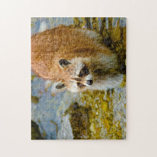 Raccoon Beren. Legpuzzel (Verticaal)