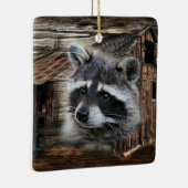 Raccoon bij de oude schuur keramisch ornament (Rechts)