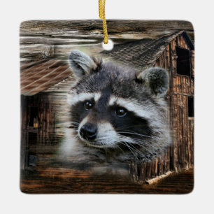 Raccoon bij de oude schuur keramisch ornament
