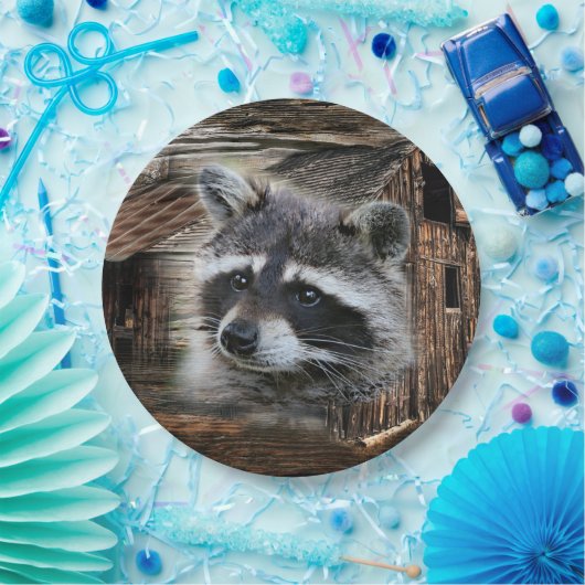 Raccoon bij de oude schuur papieren bordje (Feest)