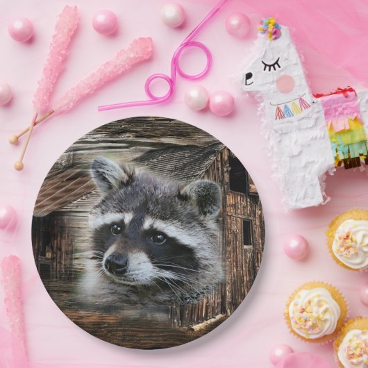Raccoon bij de oude schuur papieren bordje (Feest)