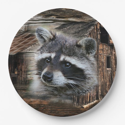 Raccoon bij de oude schuur papieren bordje (Voorkant)