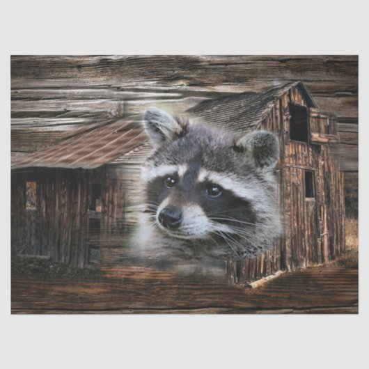 Raccoon bij de oude schuur tissuepapier (Voorkant)